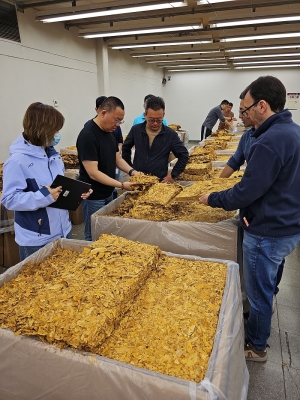Inspecci&oacute;n de calidad y negociaci&oacute;n de precios con china Tobacco International