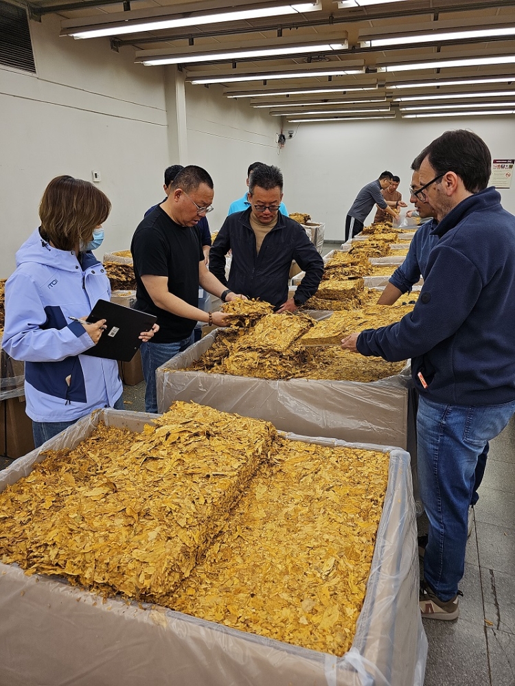Inspecci&oacute;n de calidad y negociaci&oacute;n de precios con china Tobacco International
