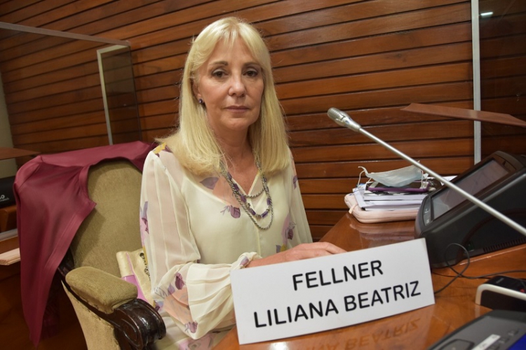 "Hay que atender con urgencia el tema de la inseguridad", Dijo Liliana  Fellner