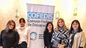 90&deg; Asamblea Ordinaria del Consejo Federal de Discapacidad