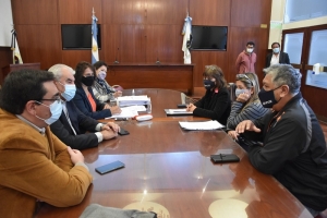 La Comisi&oacute;n de Salud recepcion&oacute; inquietudes de UPCN