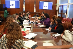 La Comisi&oacute;n de Igualdad y G&eacute;nero recibi&oacute; el informe de implementaci&oacute;n de la Ley Iara