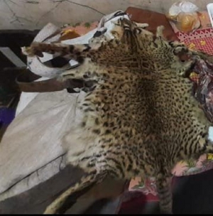 Caza furtiva. Allanamientos y secuestro de elementos en Palma Sola