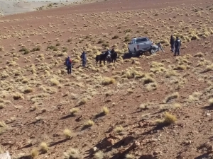 11 cueros de vicu&ntilde;a fueron decomisados