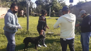 Por las lluvias se reprogramar&aacute; la vacunaci&oacute;n antirr&aacute;bica