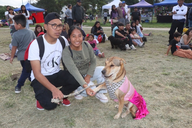 "Movida Mascotera" en Palpal&aacute; promueve la tenencia responsable, el respeto y el amor animal.