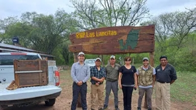 Ejemplares de fauna silvestre regresaron a su h&aacute;bitat natural