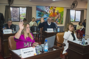 Concejales realizaron una nueva sesi&oacute;n ordinaria