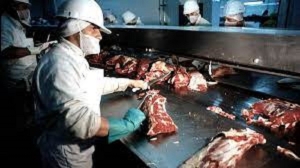 Habilitaron el troceo y la descarga mec&aacute;nica para la comercializaci&oacute;n de carne vacuna