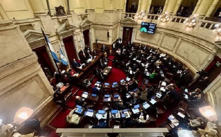 Senado: el Gobierno aprob&oacute; la ley de propiedad privada, pero tuvo que quitar otro cap&iacute;tulo