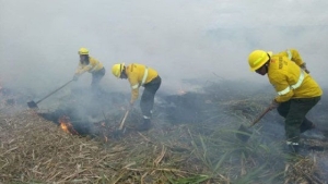 Incendios: el despliegue del Gobierno dio resultados positivos