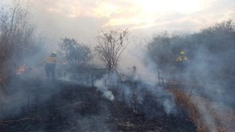 Varios focos fueron sofocados gracias al r&aacute;pido accionar de las fuerzas especializadas