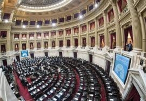 Con holgada mayor&iacute;a, la oposici&oacute;n logr&oacute; aprobar la ley de emergencia en Discapacidad en Diputados
