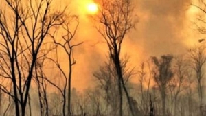COEI: incendios forestales en Yuto y Caimancito