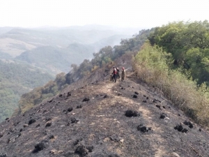 Varios focos de incendio fueron controlados por bomberos