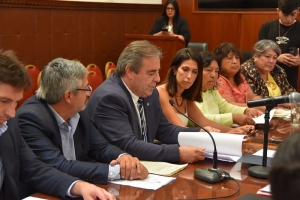 La Legislatura trabaja en el proyecto de ley de impulso al Desarrollo Urbano P&uacute;blico-Privado
