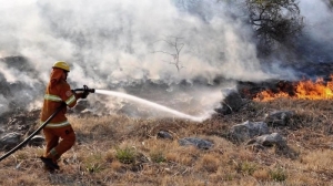 Ocho provincias registran focos activos de incendios forestales