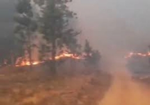 Incendio en C&oacute;rdoba: hay cuatro focos activos y el fuego ya alcanz&oacute; varias casas