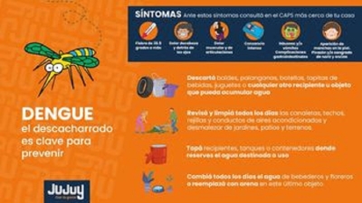 Dengue: con s&iacute;ntomas, la consulta debe ser inmediata