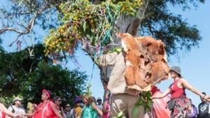 Arete Guaz&uacute;, encuentro cultural en las Yungas Juje&ntilde;as con la Comunidad Cuape Yayembuate