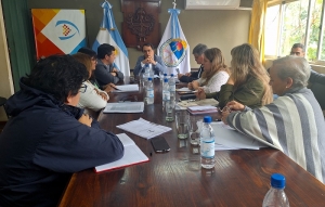 Ediles se reunieron con los contadores que realizaron el Estudio de Costos