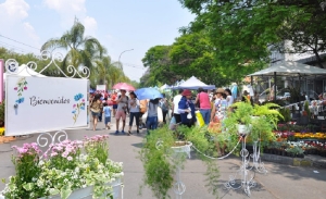 Jujuy Florece tendr&aacute; espect&aacute;culos art&iacute;sticos y talleres educativos