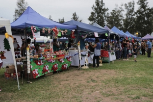 La municipalidad de Palpal&aacute; promociona el desarrollo del emprendedurismo local