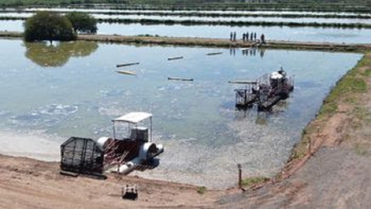 El Pongo: comenz&oacute; la segunda etapa de la obra de limpieza de lagunas