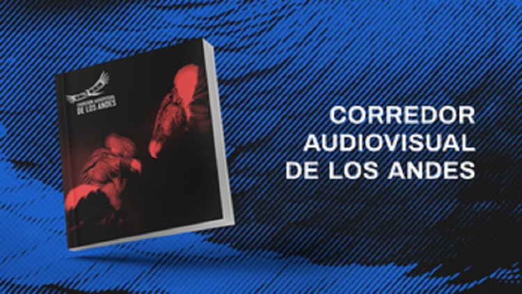 Se present&oacute; el cat&aacute;logo del Corredor Audiovisual de los Andes