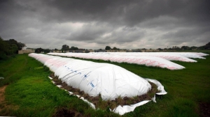 El BCRA aprob&oacute; un nuevo instrumento para incentivar al sector agroexportador a liquidar la cosecha
