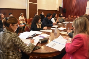 La Comisi&oacute;n de Cultura y Turismo trabaja en distintos proyectos y avanza en agenda de visita al interior de Jujuy