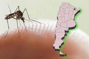 Confirman m&aacute;s de 56 mil casos de dengue y m&aacute;s de 1200 de chikungunya en todo el pa&iacute;s