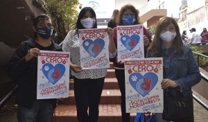 San salvador de Jujuy declarada &ldquo;ciudad libre de pirotecnia sonora&rdquo;