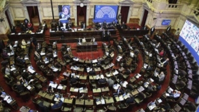Amplio respaldo de fuerzas parlamentarias a la moratoria de deudas impositivas y previsionales