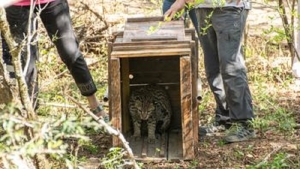 Un triunfo para la biodiversidad