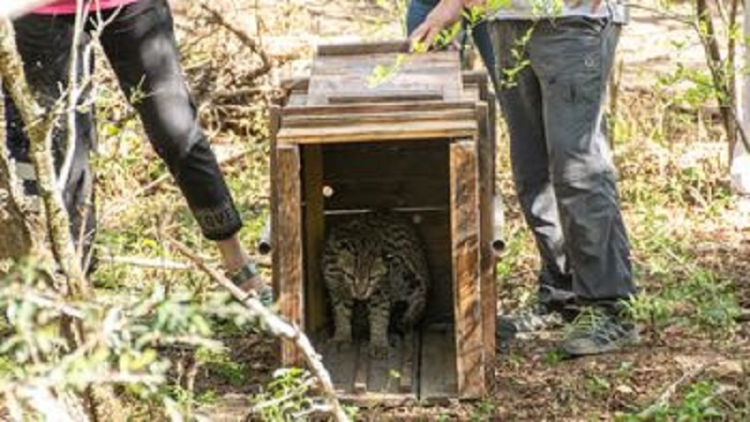 Un triunfo para la biodiversidad