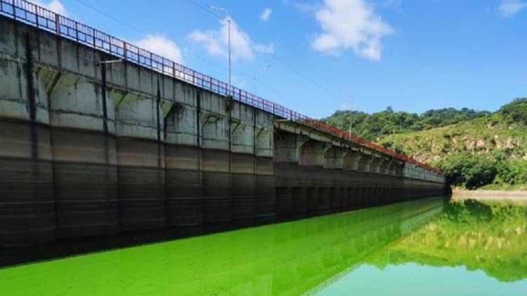 Dique los Alisos: Se analizan muestras por coloraci&oacute;n del agua