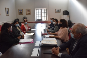 La Comisi&oacute;n de Salud trabaja en la adhesi&oacute;n a la ley nacional de musicoterapia