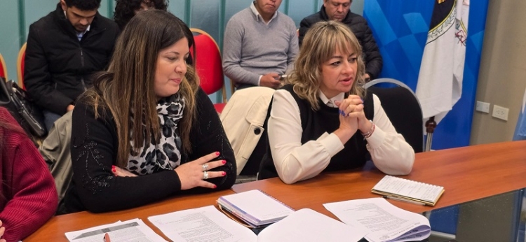 La Comisi&oacute;n de Asuntos Sociales trabaj&oacute; en protecci&oacute;n de infancias frente a riesgos digitales