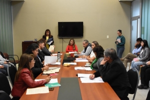 La Comisi&oacute;n de Asuntos Sociales inici&oacute; el an&aacute;lisis del Proyecto de Ley de Juventudes