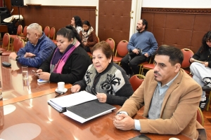 La Comisi&oacute;n de Educaci&oacute;n analiz&oacute; proyectos sobre acoso escolar y solicitar&aacute; la presencia de la ministra