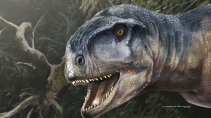 Neuqu&eacute;n: Cient&iacute;ficos identificaron f&oacute;siles de una una nueva especie de dinosaurio