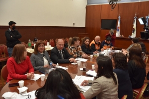 La Comisi&oacute;n de Asuntos Sociales trabaja en proyectos para reglamentar a los bomberos voluntarios