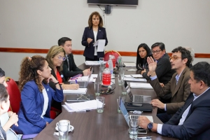 Inicia ronda de v&iacute;nculos con la sociedad la comisi&oacute;n de nuevas declaraciones, derechos, deberes y garant&iacute;as