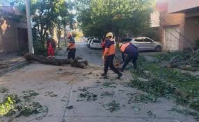 El Gobierno de Jujuy despleg&oacute; un amplio operativo ante las fuertes r&aacute;fagas de viento en la capital