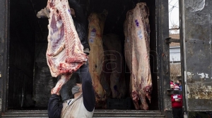 El precio de la carne baj&oacute; 3% durante los cuatro meses de restricciones a las exportaciones
