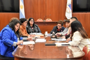 La Comisi&oacute;n de Igualdad de G&eacute;nero trabaja en el proyecto de cupo laboral trans