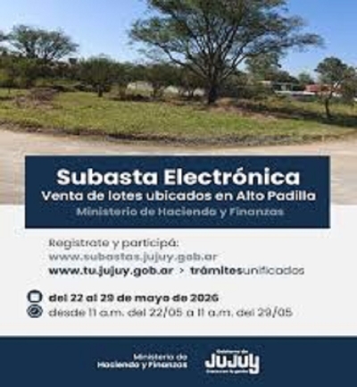 Subasta p&uacute;blica electr&oacute;nica de lotes ubicados en Alto Padilla