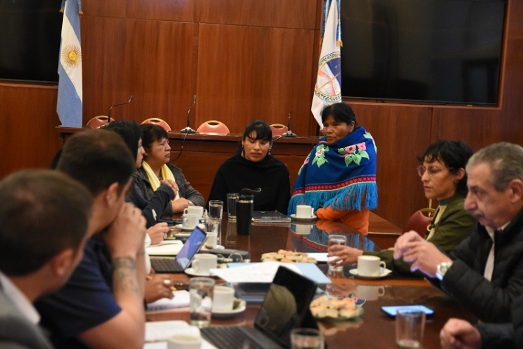 La Comisi&oacute;n de Pueblos Ind&iacute;genas recibi&oacute; a representantes de la Comunidad Pueblo Coya de Caspal&aacute;