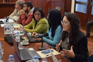 Comisi&oacute;n de Sistema Econ&oacute;mico y Financiero debati&oacute; art&iacute;culos sobre financiamiento del Estado